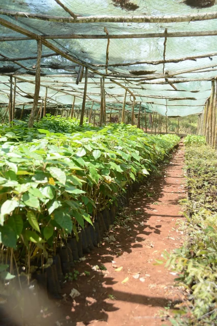 SPACE Kenya community impact across Marsabit, Isiolo, Samburu, Wajir, and Mandera